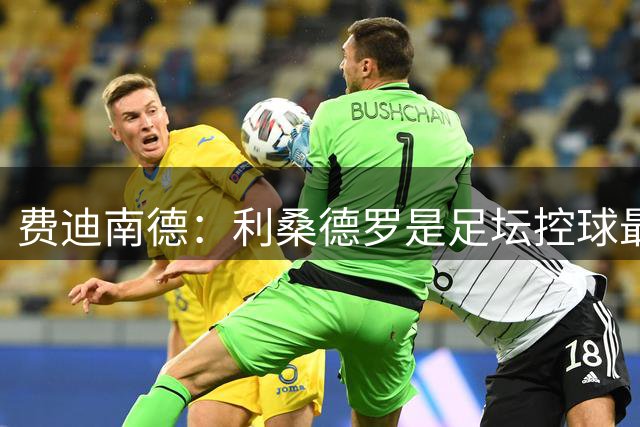 费迪南德：利桑德罗是足坛控球最好的中卫 曼联不会考虑争冠